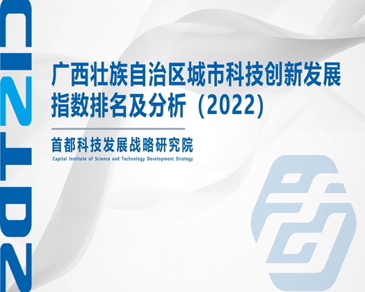 美女黄艹逼视频网站【成果发布】广西壮族自治区城市科技创新发展指数排名及分析（2022）